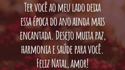 Eu não poderia estar mais feliz! Ter você ao meu lado deixa essa época do ano ainda mais encantada. Desejo muita paz, harmonia e saúde para você. Feliz Natal, amor!