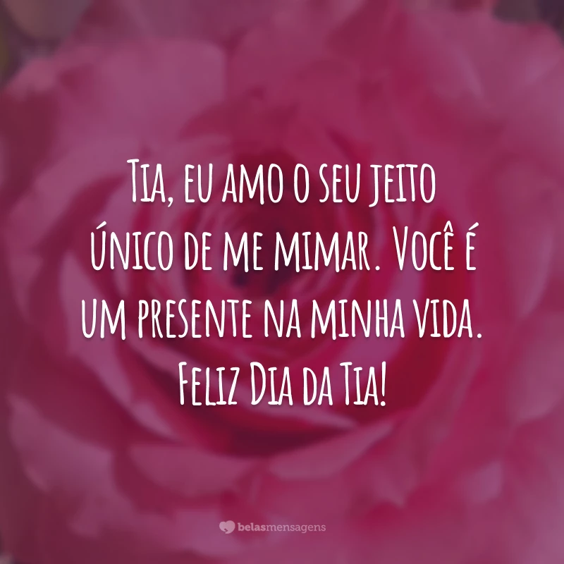 Tia, eu amo o seu jeito único de me mimar. Você é um presente na minha vida. Feliz Dia da Tia!