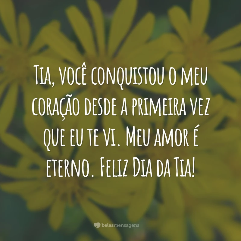 Tia, você conquistou o meu coração desde a primeira vez que eu te vi. Meu amor é eterno. Feliz Dia da Tia!