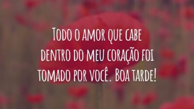 Todo o amor que cabe dentro do meu coração foi tomado por você. Boa tarde!