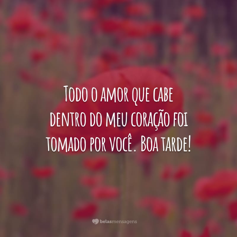 Todo o amor que cabe dentro do meu coração foi tomado por você. Boa tarde!