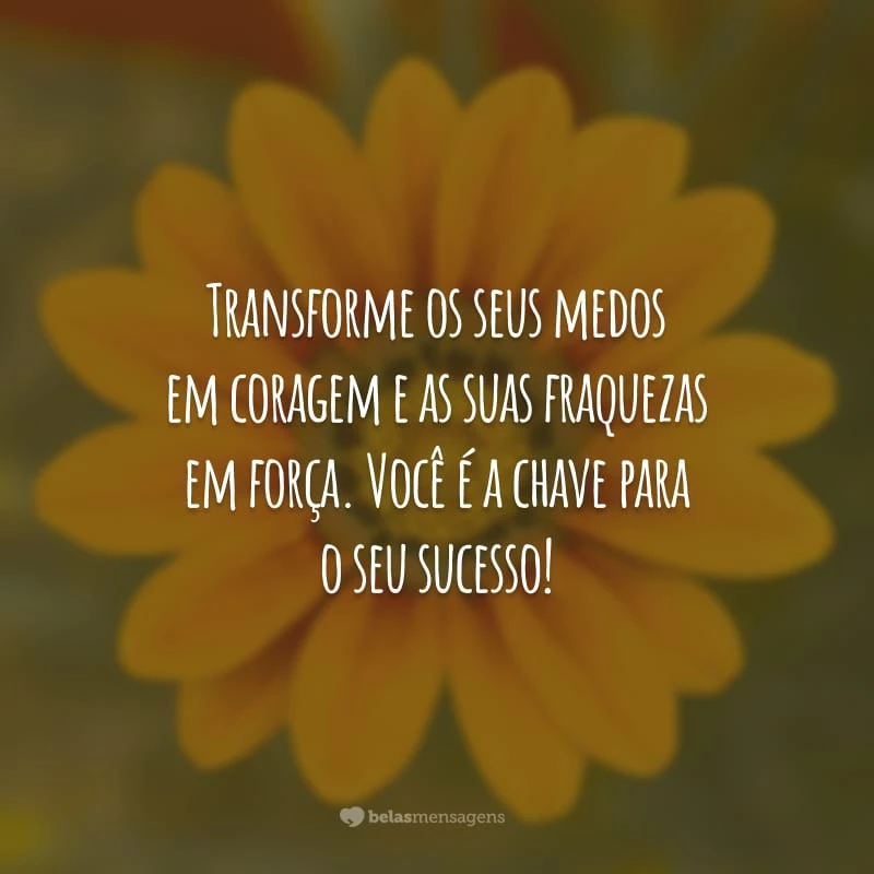 Transforme os seus medos em coragem e as suas fraquezas em força. Você é a chave para o seu sucesso!