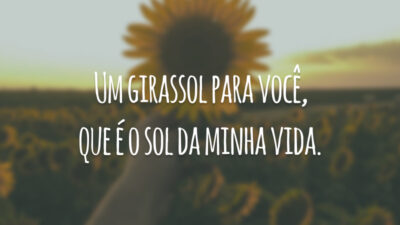 Um girassol para você, que é o sol da minha vida.