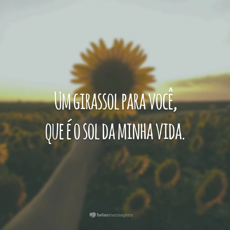 Um girassol para você, que é o sol da minha vida.