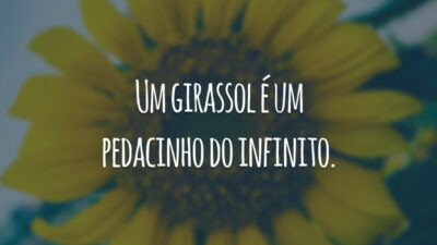 Um girassol é um pedacinho do infinito.