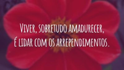 Viver, sobretudo amadurecer, é lidar com os arrependimentos.