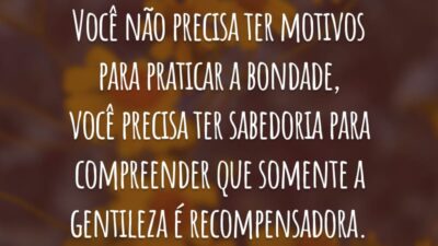 Você não precisa ter motivos para praticar a bondade, você precisa ter sabedoria para compreender que somente a gentileza é recompensadora.