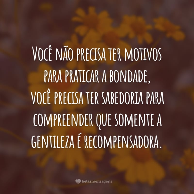 Você não precisa ter motivos para praticar a bondade, você precisa ter sabedoria para compreender que somente a gentileza é recompensadora.