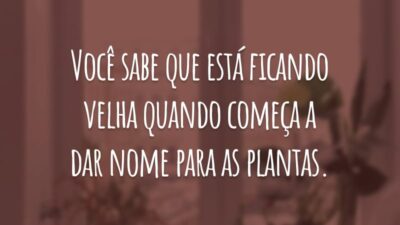 Você sabe que está ficando velha quando começa a dar nome para as plantas.