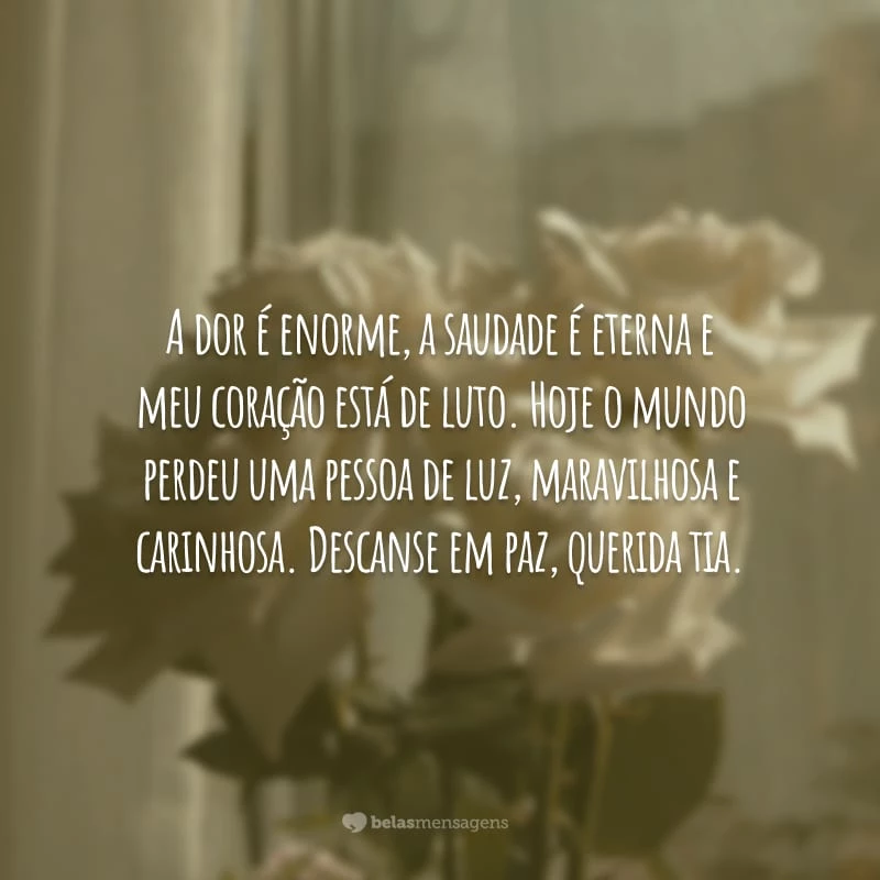 A dor é enorme, a saudade é eterna e meu coração está de luto. Hoje o mundo perdeu uma pessoa de luz, maravilhosa e carinhosa. Descanse em paz, querida tia.