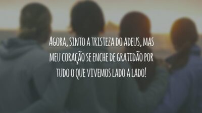 Agora, sinto a tristeza do adeus, mas meu coração se enche de gratidão por tudo o que vivemos lado a lado!