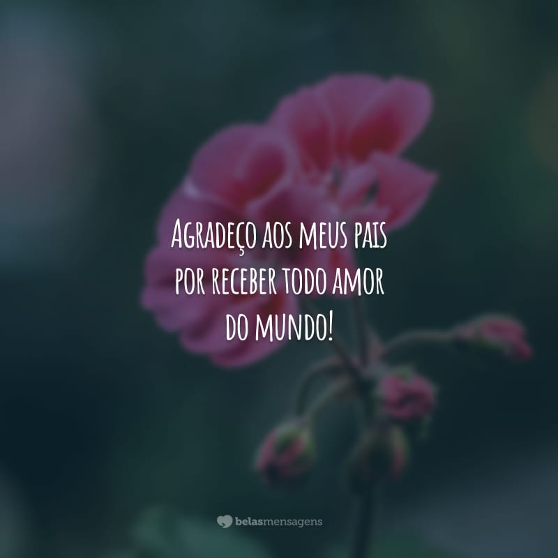 Agradeço aos meus pais por receber todo amor do mundo!