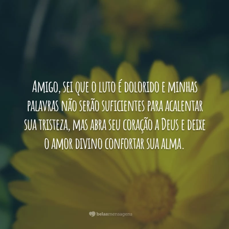 Amigo, sei que o luto é dolorido e minhas palavras não serão suficientes para acalentar sua tristeza, mas abra seu coração a Deus e deixe o amor divino confortar sua alma.