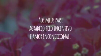 Aos meus pais, agradeço pelo incentivo e amor incondicional.