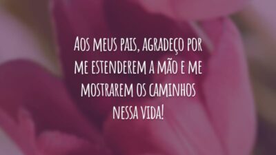 Aos meus pais, agradeço por me estenderem a mão e me mostrarem os caminhos nessa vida!