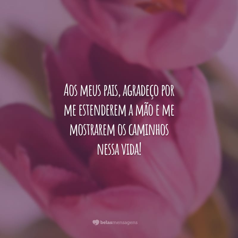 Aos meus pais, agradeço por me estenderem a mão e me mostrarem os caminhos nessa vida!