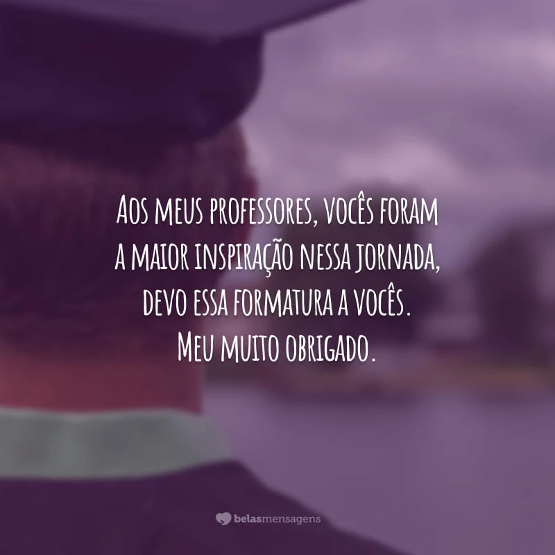 Aos meus professores, vocês foram a maior inspiração nessa jornada, devo essa formatura a vocês. Meu muito obrigado.