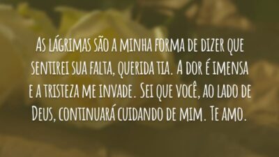 As lágrimas são a minha forma de dizer que sentirei sua falta, querida tia. A dor é imensa e a tristeza me invade. Sei que você, ao lado de Deus, continuará cuidando de mim. Te amo.
