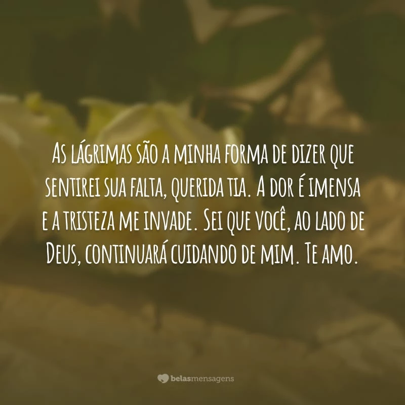 As lágrimas são a minha forma de dizer que sentirei sua falta, querida tia. A dor é imensa e a tristeza me invade. Sei que você, ao lado de Deus, continuará cuidando de mim. Te amo.