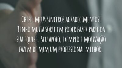 Chefe, meus sinceros agradecimentos! Tenho muita sorte em poder fazer parte da sua equipe. Seu apoio, exemplo e motivação fazem de mim um profissional melhor.