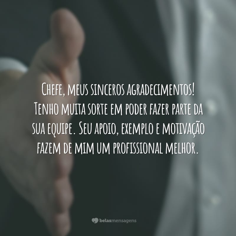 Chefe, meus sinceros agradecimentos! Tenho muita sorte em poder fazer parte da sua equipe. Seu apoio, exemplo e motivação fazem de mim um profissional melhor.