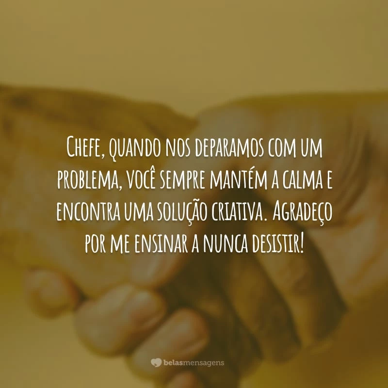 Chefe, quando nos deparamos com um problema, você sempre mantém a calma e encontra uma solução criativa. Agradeço por me ensinar a nunca desistir!