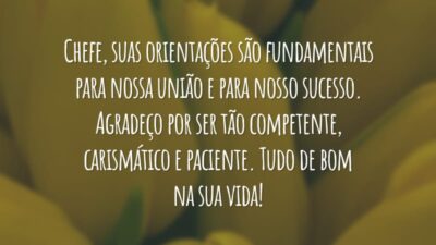Chefe, suas orientações são fundamentais para nossa união e para nosso sucesso. Agradeço por ser tão competente, carismático e paciente. Tudo de bom na sua vida!