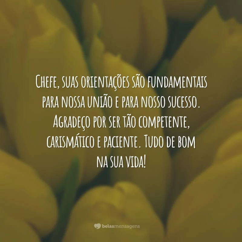 Chefe, suas orientações são fundamentais para nossa união e para nosso sucesso. Agradeço por ser tão competente, carismático e paciente. Tudo de bom na sua vida!