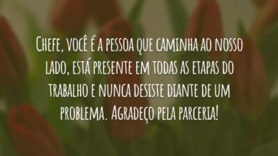Chefe, você é a pessoa que caminha ao nosso lado, está presente em todas as etapas do trabalho e nunca desiste diante de um problema. Agradeço pela parceria!