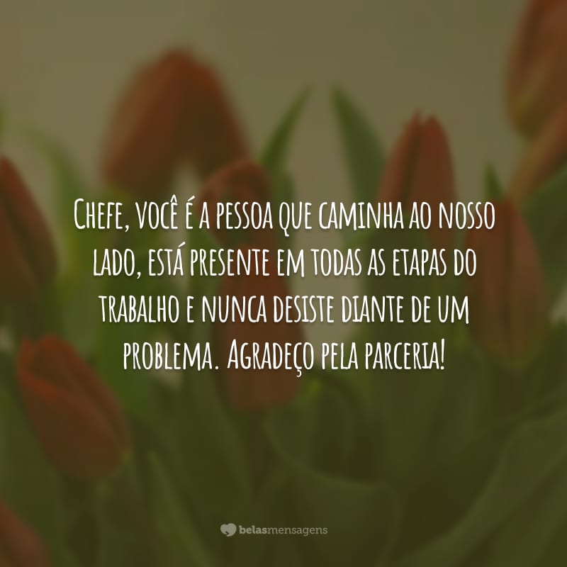 Chefe, você é a pessoa que caminha ao nosso lado, está presente em todas as etapas do trabalho e nunca desiste diante de um problema. Agradeço pela parceria!