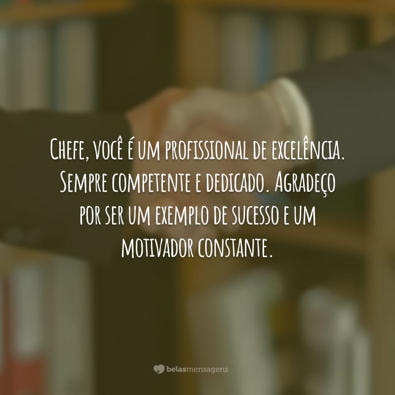 Chefe, você é um profissional de excelência. Sempre competente e dedicado. Agradeço por ser um exemplo de sucesso e um motivador constante.