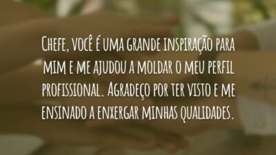 Chefe, você é uma grande inspiração para mim e me ajudou a moldar o meu perfil profissional. Agradeço por ter visto e me ensinado a enxergar minhas qualidades.