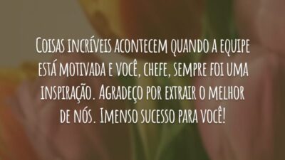 Coisas incríveis acontecem quando a equipe está motivada e você, chefe, sempre foi uma inspiração. Agradeço por extrair o melhor de nós. Imenso sucesso para você!