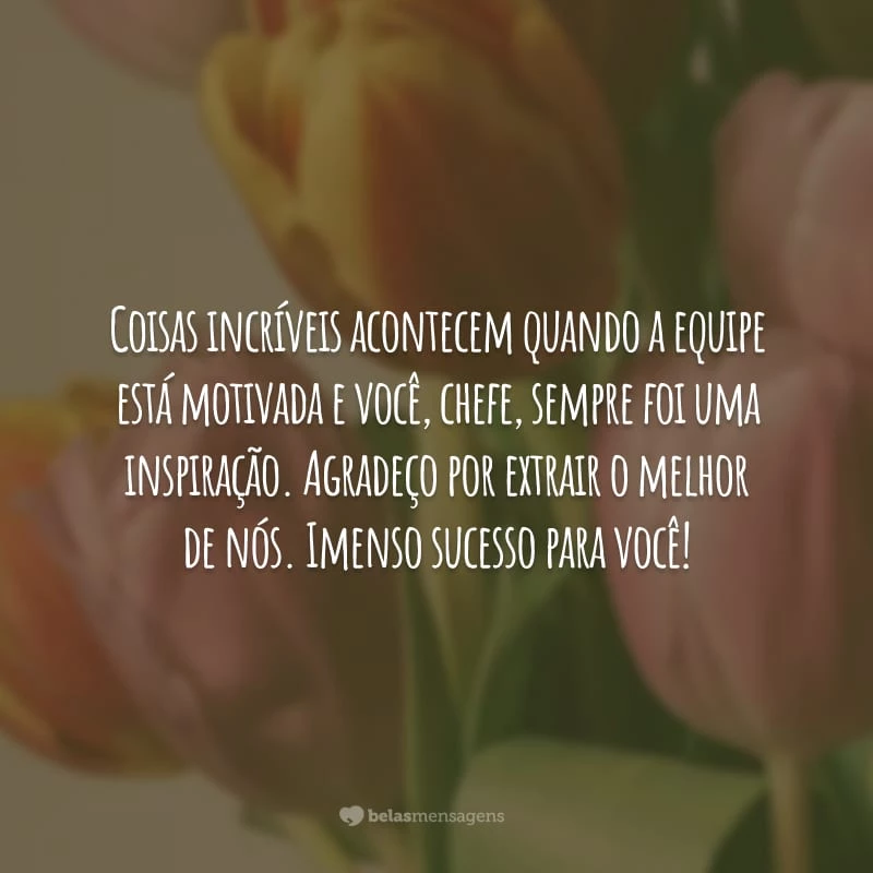 Coisas incríveis acontecem quando a equipe está motivada e você, chefe, sempre foi uma inspiração. Agradeço por extrair o melhor de nós. Imenso sucesso para você!