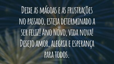 Deixe as mágoas e as frustrações no passado, esteja determinado a ser feliz! Ano Novo, vida nova! Desejo amor, alegria e esperança para todos.