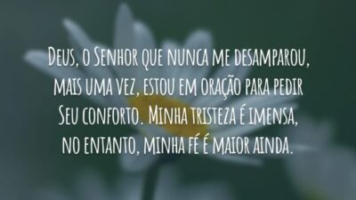 Deus, o Senhor que nunca me desamparou, mais uma vez, estou em oração para pedir Seu conforto. Minha tristeza é imensa, no entanto, minha fé é maior ainda.