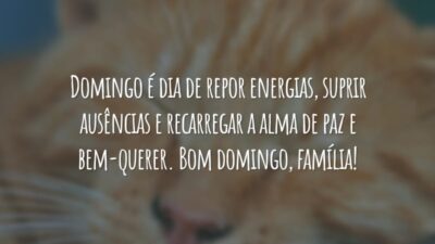 Domingo é dia de repor energias, suprir ausências e recarregar a alma de paz e bem-querer. Bom domingo, família!