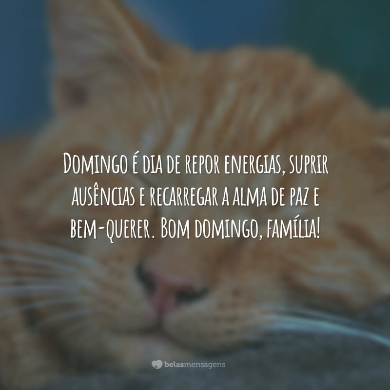 Domingo é dia de repor energias, suprir ausências e recarregar a alma de paz e bem-querer. Bom domingo, família!