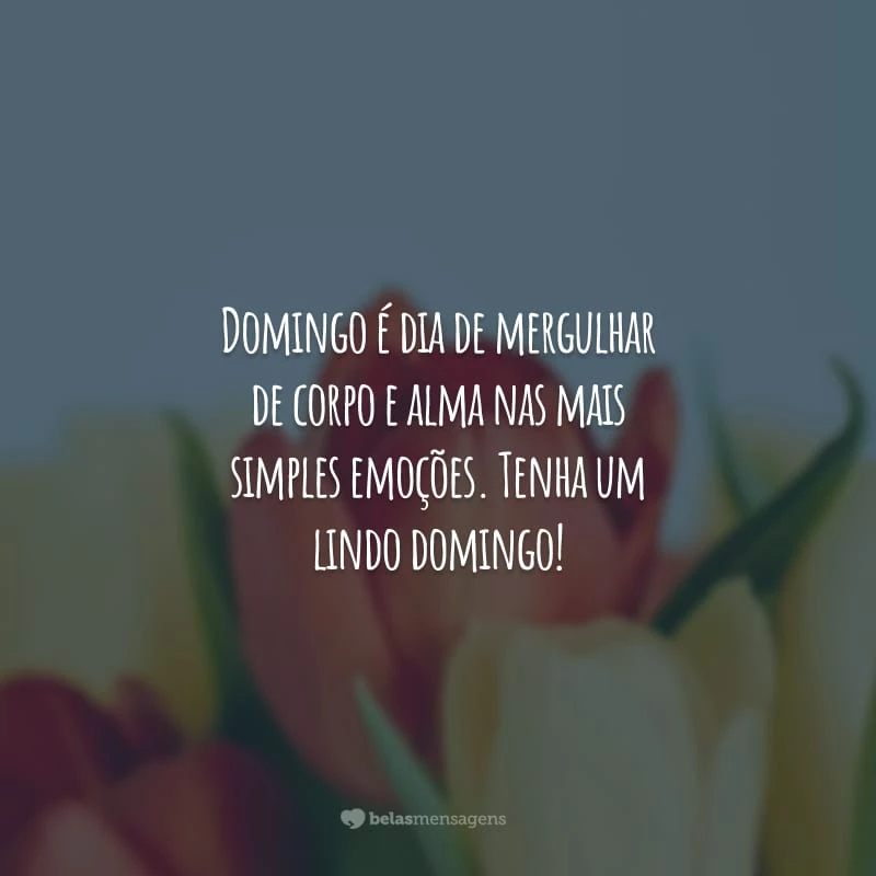 Domingo é dia de mergulhar de corpo e alma nas mais simples emoções. Tenha um lindo domingo!