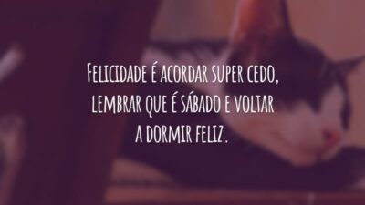 Felicidade é acordar super cedo, lembrar que é sábado e voltar a dormir feliz.