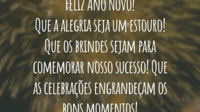 Feliz Ano Novo! Que a alegria seja um estouro! Que os brindes sejam para comemorar nosso sucesso! Que as celebrações engrandeçam os bons momentos!