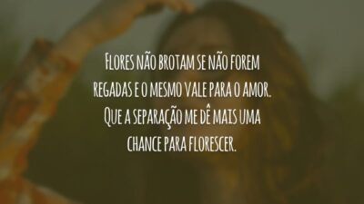 Flores não brotam se não forem regadas e o mesmo vale para o amor. Que a separação me dê mais uma chance para florescer.