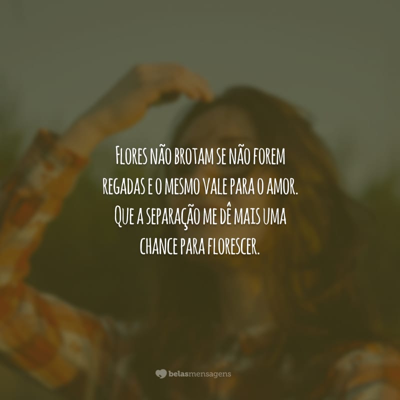 Flores não brotam se não forem regadas e o mesmo vale para o amor. Que a separação me dê mais uma chance para florescer.