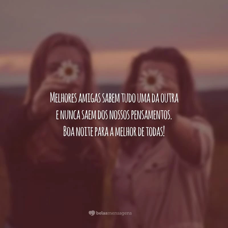 Melhores amigas sabem tudo uma da outra e nunca saem dos nossos pensamentos. Boa noite para a melhor de todas!