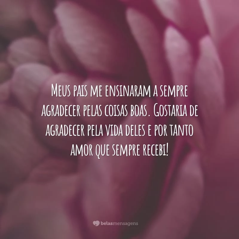 Meus pais me ensinaram a sempre agradecer pelas coisas boas. Gostaria de agradecer pela vida deles e por tanto amor que sempre recebi!