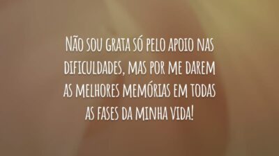 Não sou grata só pelo apoio nas dificuldades, mas por me darem as melhores memórias em todas as fases da minha vida!