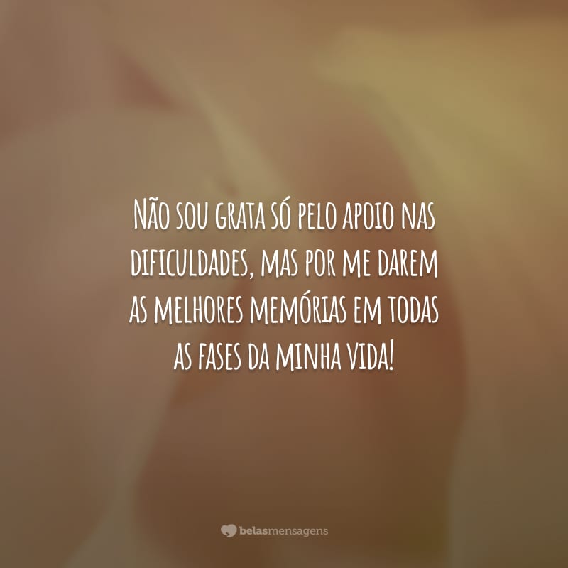 Não sou grata só pelo apoio nas dificuldades, mas por me darem as melhores memórias em todas as fases da minha vida!