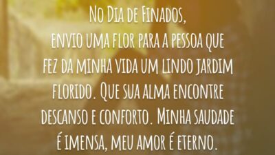 No Dia de Finados, envio uma flor para a pessoa que fez da minha vida um lindo jardim florido. Que sua alma encontre descanso e conforto. Minha saudade é imensa, meu amor é eterno.