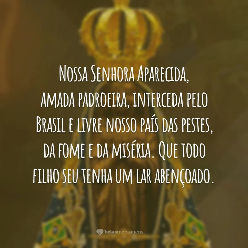 Nossa Senhora Aparecida, amada padroeira, interceda pelo Brasil e livre nosso país das pestes, da fome e da miséria. Que todo filho seu tenha um lar abençoado.
