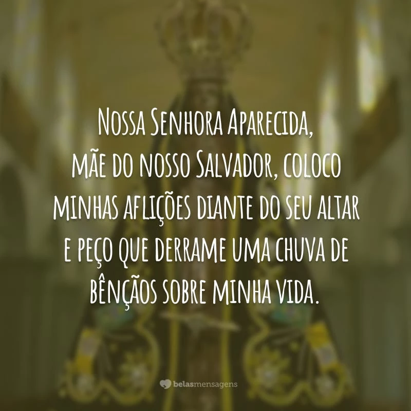 Nossa Senhora Aparecida, mãe do nosso Salvador, coloco minhas aflições diante do seu altar e peço que derrame uma chuva de bênçãos sobre minha vida.